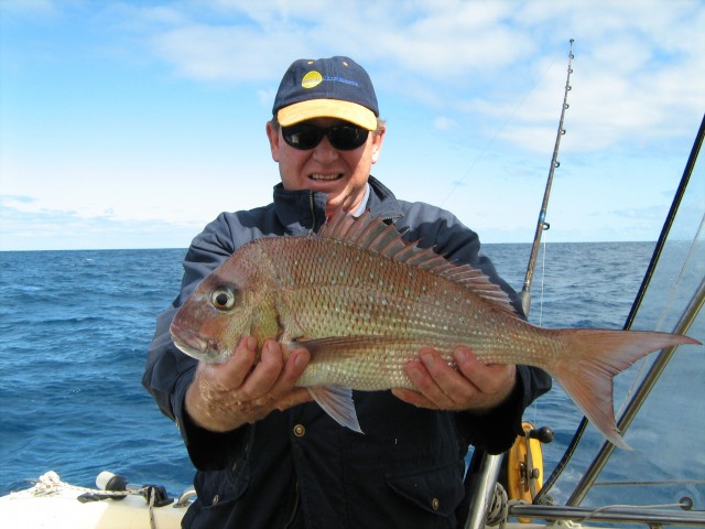 Bunno Pinkie Bunno Pinkie